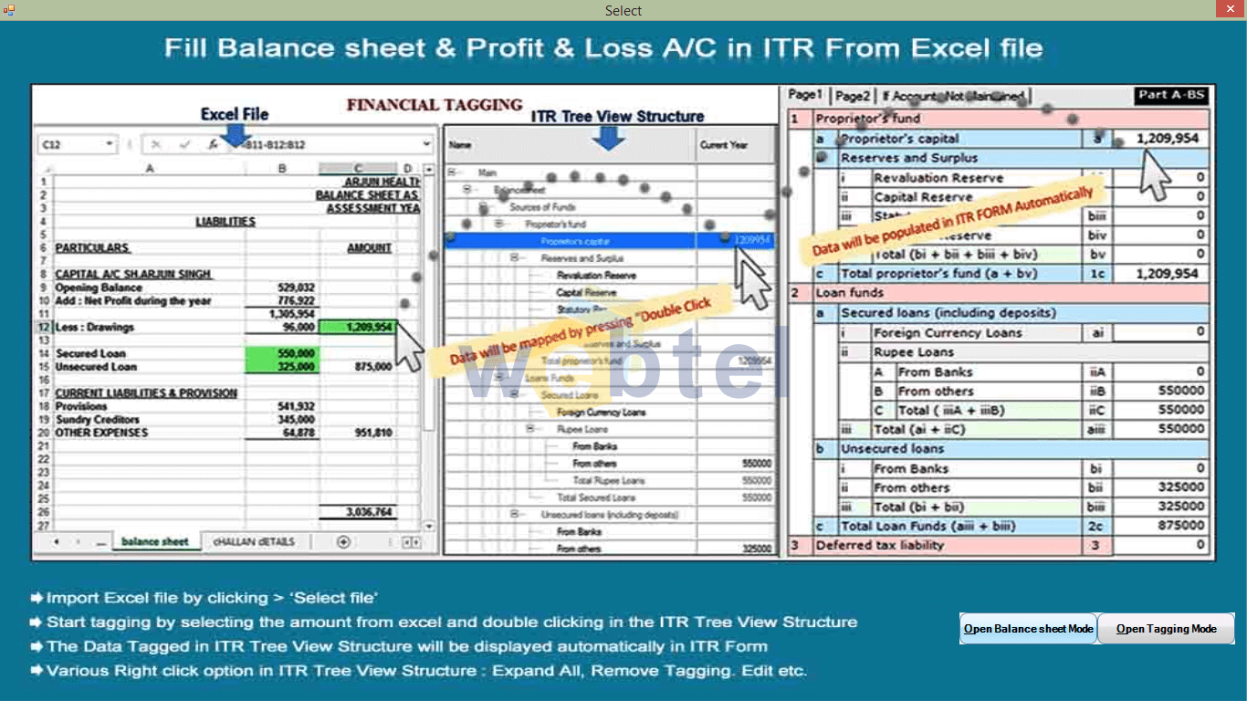 Balance sheet Mode to enter the details manually & Tagging Mode to tag the data through Excel
